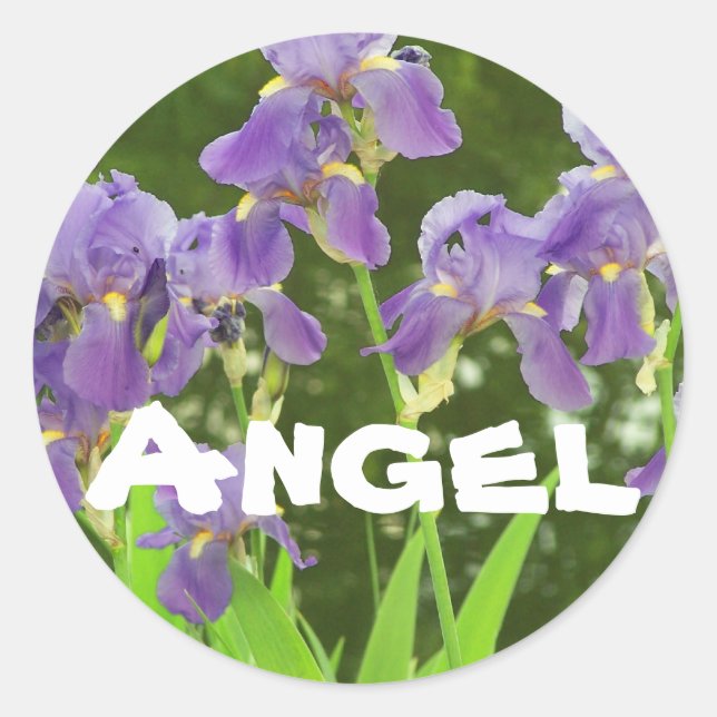 iris sticker name:, Angel (Front)