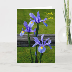 Iris Thank You Card