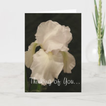 Iris Thinking of You blank card