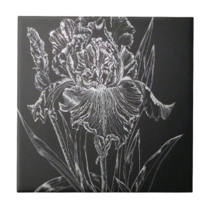 Iris Tile