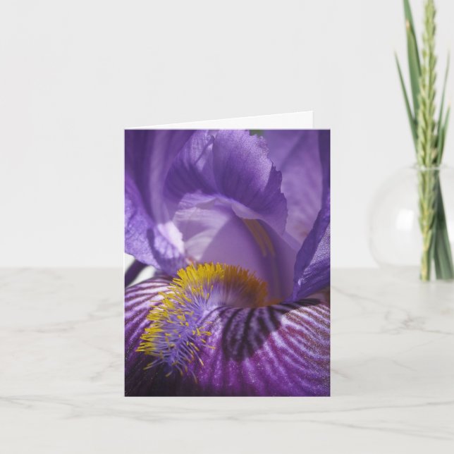 Iris' Tongue Card (Front)