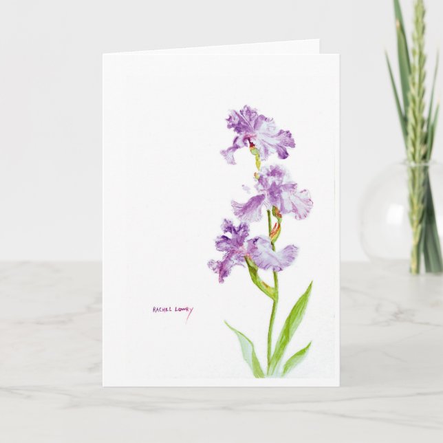Iris Trio Greeting Card (Front)