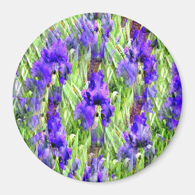 Iris Twirl..... Magnet (Front)