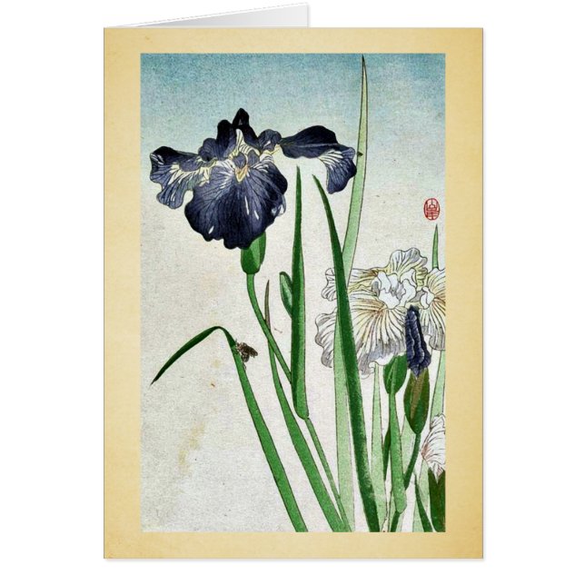 Iris Ukiyoe (Devant)