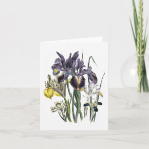 Iris Watercolor Blank Note Card
