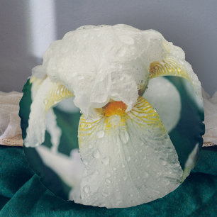 Iris with water droplets round pillow