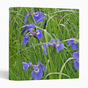 Iris Wonder Binder