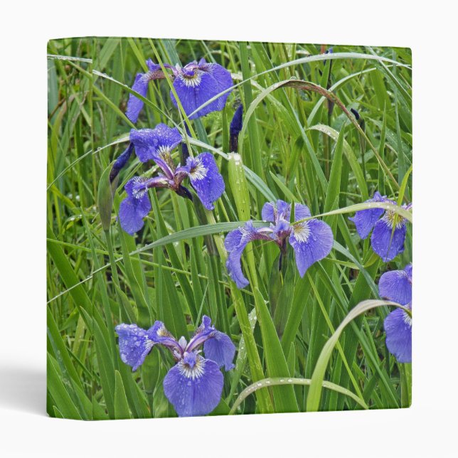 Iris Wonder Binder (Front/Spine)