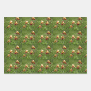 Iris Wrapping Paper