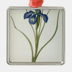 Iris Xyphioides, from `Les Liliacees', 1808 Metal Ornament