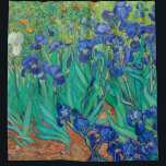 Irises, 1889 by Vincent van Gogh<br><div class="desc">Irises, 1889 by Vincent van Gogh. Vincent Willem van Gogh was a Dutch post-impressionist painter who posthumously became one of the most famous and influential figures in the history of Western art.</div>