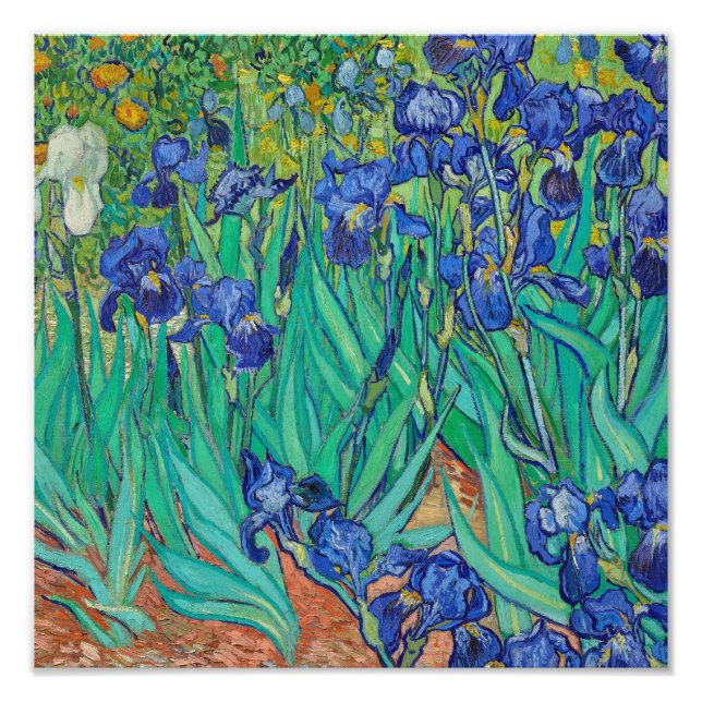 Irises (1889) by Vincent Van Gogh. Photo Print (Front)