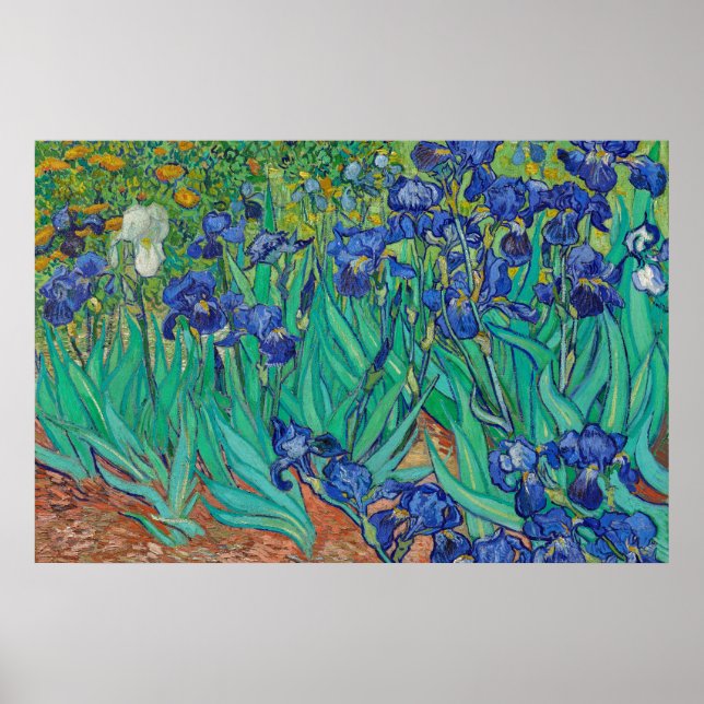 Irises by Van Gogh Art Painting Poster (Front)