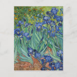 Irises by Van Gogh Postcard<br><div class="desc">Vincent van Gogh's art - Paintings of floral and nature - Post-impressionist landscape artworks</div>