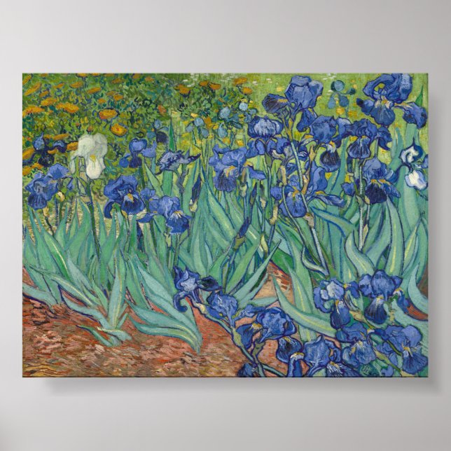 Irises by Van Gogh Poster (Front)