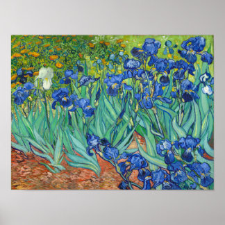 Irises by Van Gogh Poster