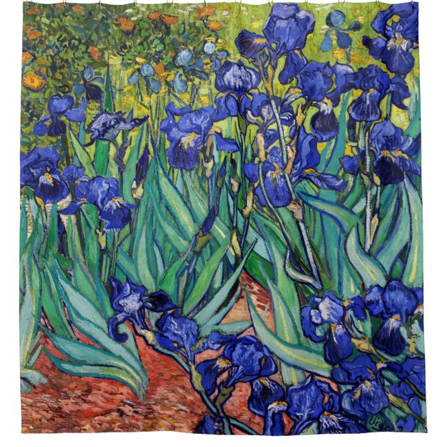 Irises by Vincent van Gogh (Front)