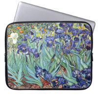 Irises by Vincent van Gogh 1898