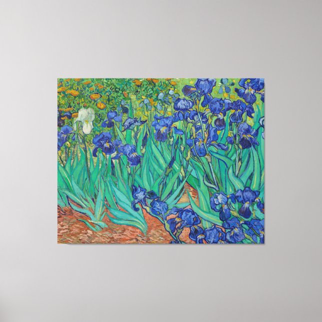 Irises by Vincent Van Gogh Canvas Print (Front)