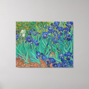 Irises by Vincent Van Gogh Canvas Print
