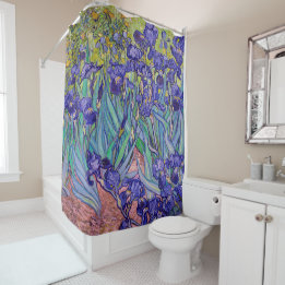 Irises by Vincent van Gogh Fine Art