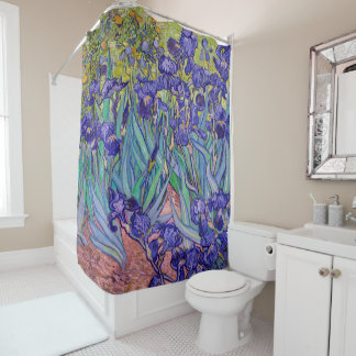 Irises by Vincent van Gogh Fine Art