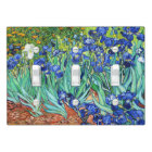 Irises By Vincent Van Gogh