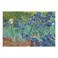 Irises by Vincent van Gogh