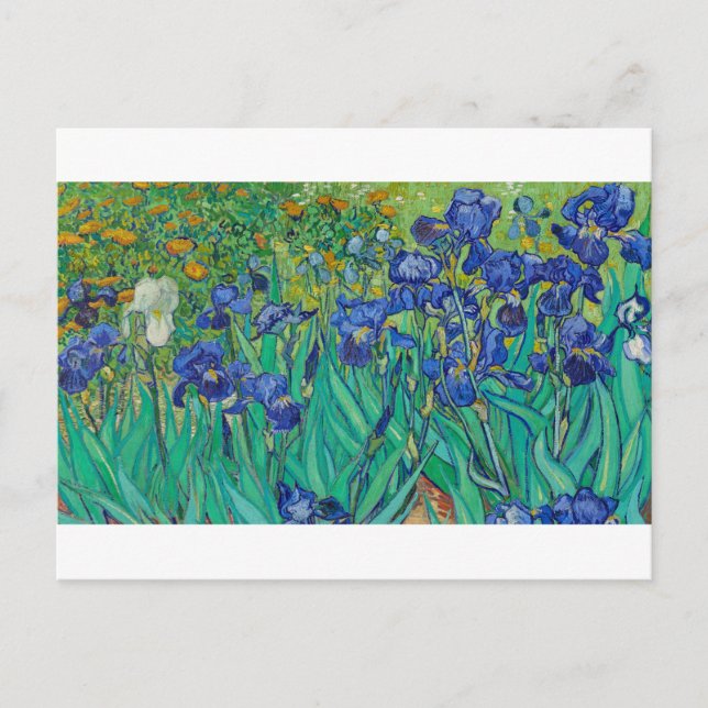 Irises by Vincent van Gogh Postcard (Front)