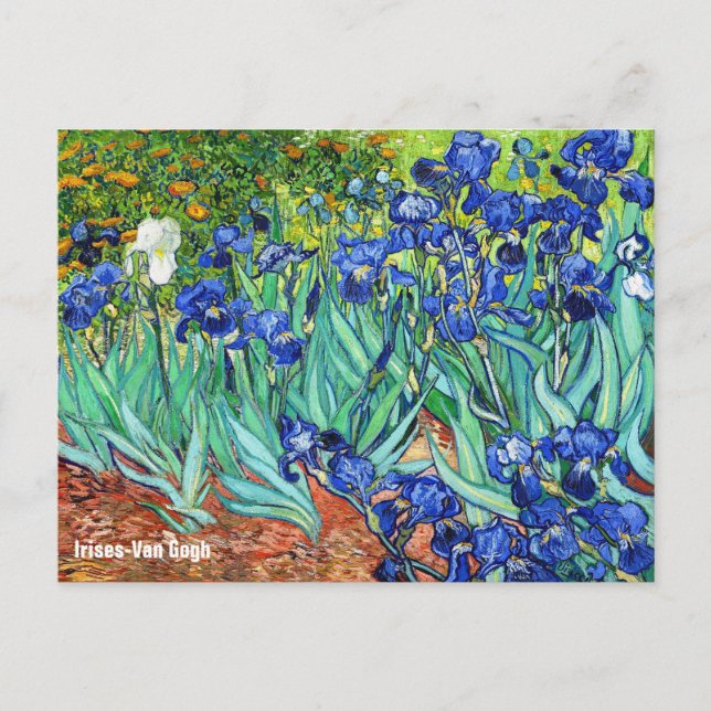 Irises By Vincent Van Gogh Postcard (Front)