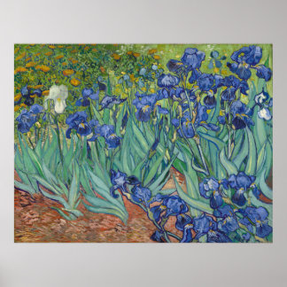 Irises by Vincent Van Gogh Poster