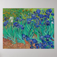 Irises by Vincent Van Gogh