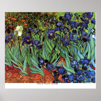 Irises by Vincent van Gogh Poster