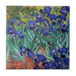 Irises by Vincent van Gogh Tile<br><div class="desc">Irises by Vincent van Gogh,  1889.</div>