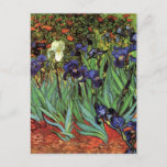 Irises by Vincent van Gogh, Vintage Garden Art Postcard<br><div class="desc">Irises (1889) by Vincent van Gogh is a vintage fine art post impressionism landscape floral painting featuring a garden with purple bearded irises growing by orange poppies. A single white iris flower is blooming at the edge. About the artist: Vincent Willem van Gogh (1853 -1890) was one of the most...</div>
