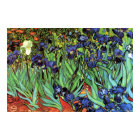 Irises de Van Gogh Poster d'art