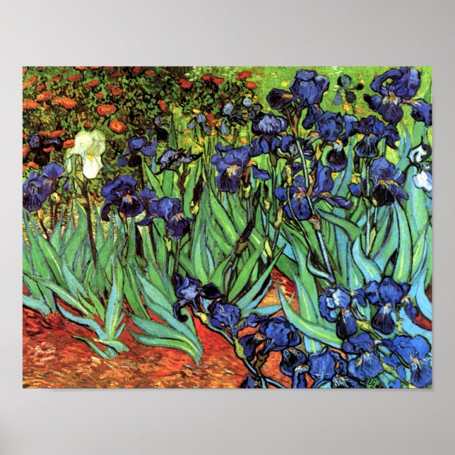 Irises de Van Gogh Poster d'art (Devant)