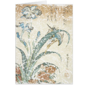 Irises et Kingfisher