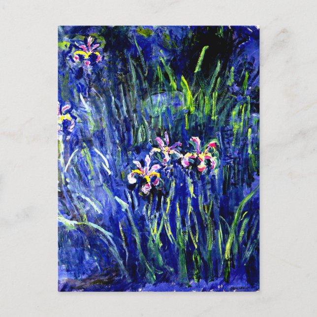 Irises, famous painting by Monet, Postcard (Front)
