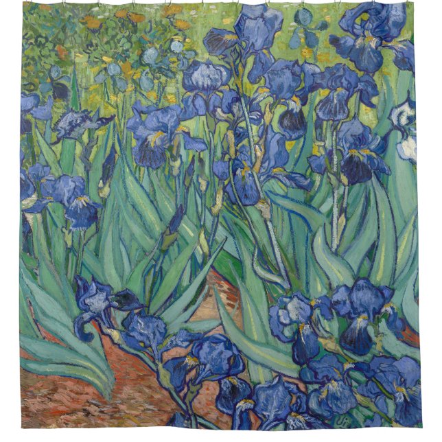 Irises, Floral Oil Painting, Vincent Van Gogh (Front)