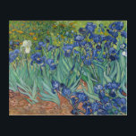 Irises Flowers Van Gogh Floral Vintage Painting Acrylic Print<br><div class="desc">Unique, water-resistant, easy to clean, room home decor, full HD colour printed acrylic wall art print, featuring a beautiful colourful intricate detailed vintage oil on canvas painting, by Vincent van Gogh, of irises and seasonal flowers in a garden. Beautiful artwork for flowers / floral / nature / vintage art lovers...</div>
