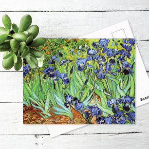Irises In the Garden Vincent van Gogh Postcard
