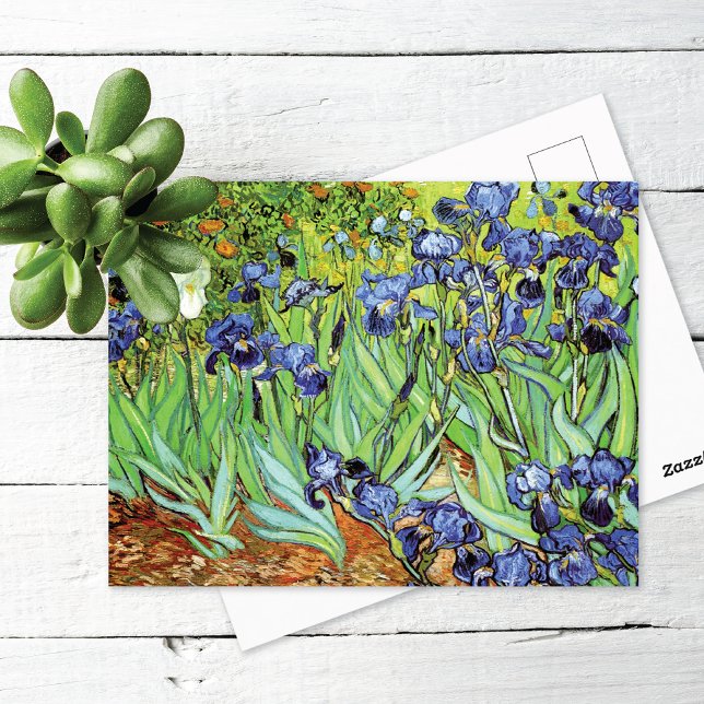 Irises In the Garden Vincent van Gogh Postcard (Creator Uploaded)