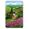 IRISES IN TUSCANY