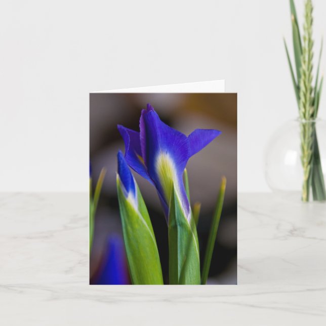 Irises Note Card (Front)