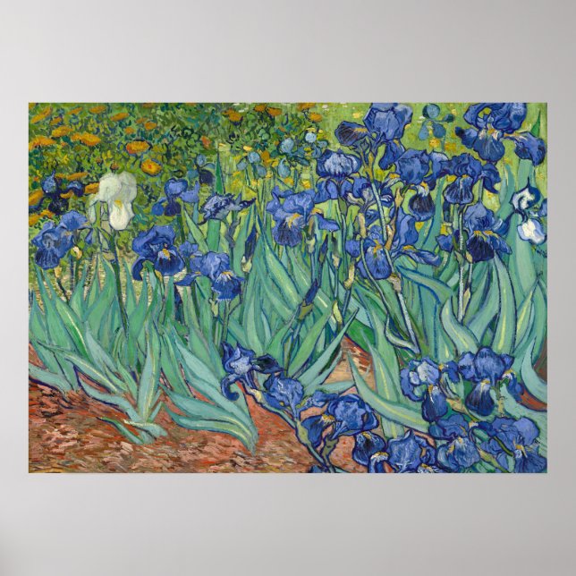 Irises par Van Gogh Poster Imprimer (Devant)