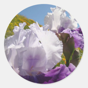 Irises Purple White stickers Summer Iris Flowers