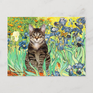 Irises - Tabby Tiger cat 30 Postcard