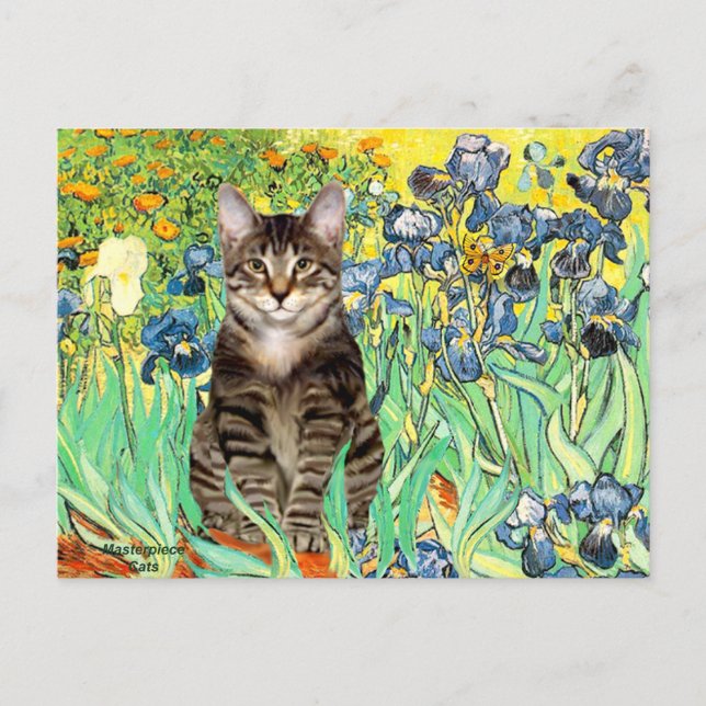 Irises - Tabby Tiger cat 30 Postcard (Front)