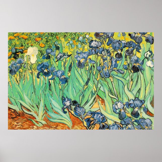 Irises - Van Gogh - c1889 Poster (Front)